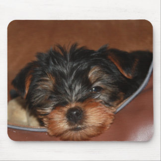 Slow Wink Closeup Mouse Mat