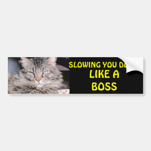 Slowing You Down Like A Boss Bumper Sticker