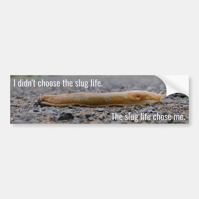 Slug Life Bumper Sticker (Front)
