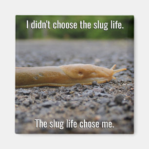 Slug Life Magnet