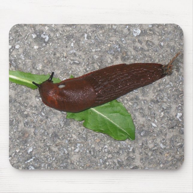 Slug Mouse Mat (Front)