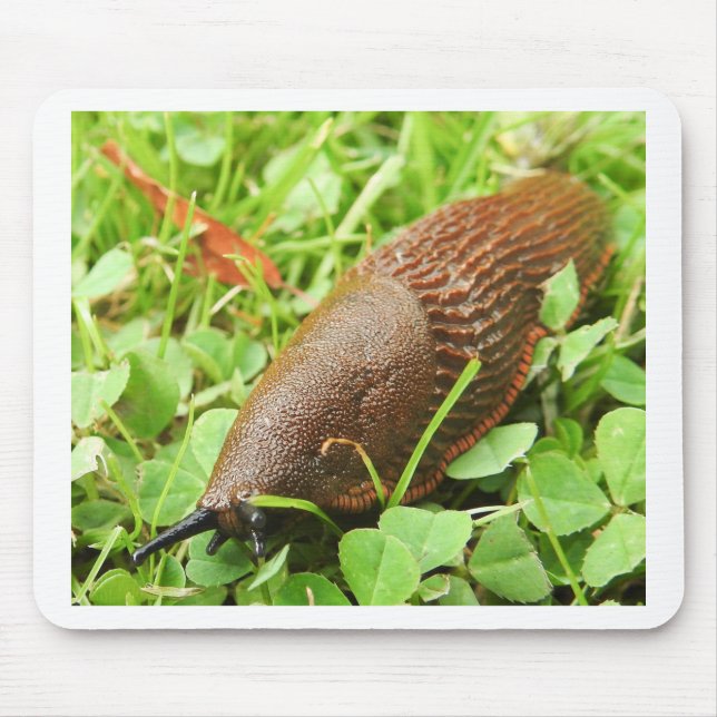 Slug Mouse Mat (Front)