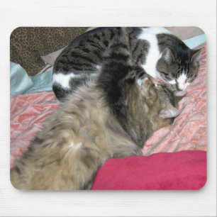 Slumber Buddies Mouse Mat