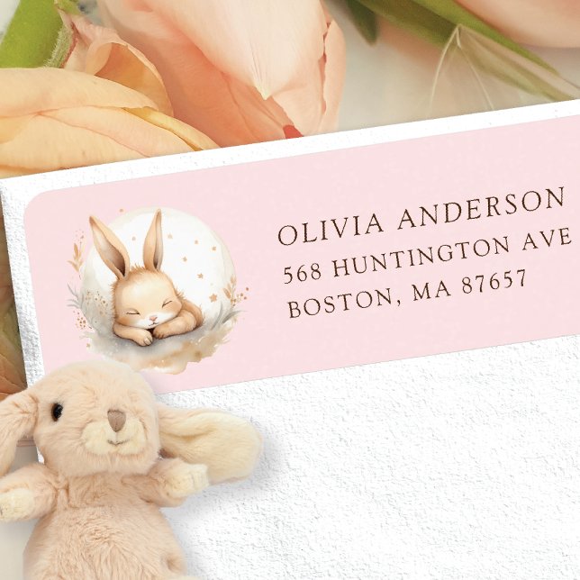 Slumber Bunny Girls Baby Shower Address (Creator Uploaded)