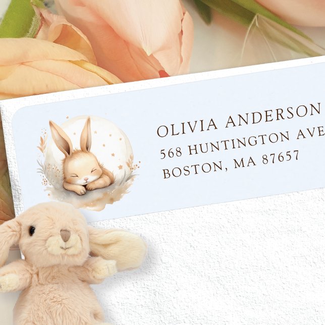 Slumber Bunny Girls Baby Shower Address (Creator Uploaded)