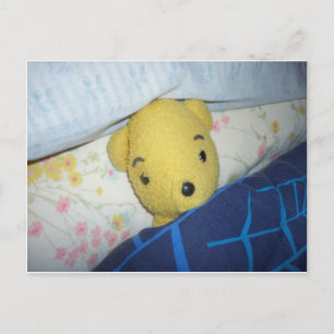 Slumbering Teddy Postcard