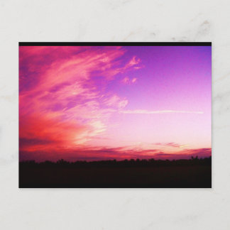 Slushpuppys Photography Postcard