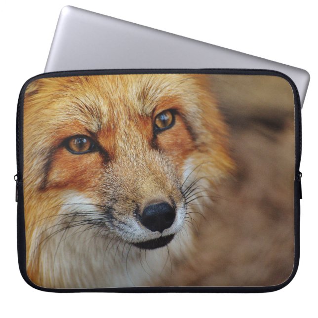 Sly Fox Laptop Sleeve (Front)