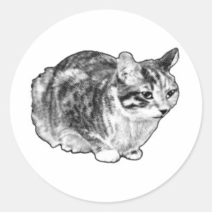 Sly Loaf, Dotted Charm Classic Round Sticker