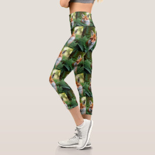 Sly The Fox, Ladies Capri Leggings