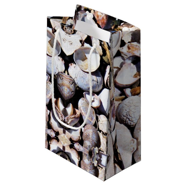 Sm Gift Bag Sea Shells (Front Angled)