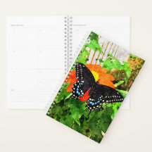 Sm Planner Black Swallowtail Graphic