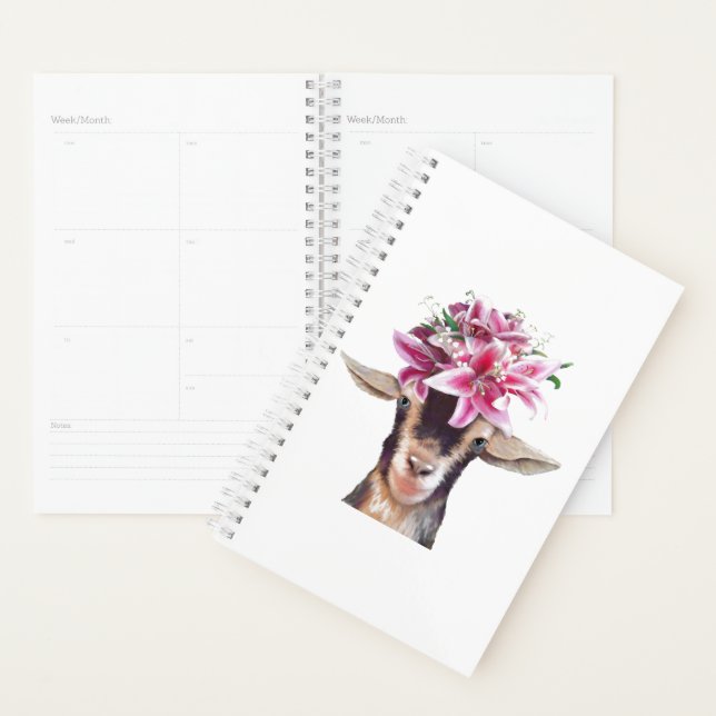 Sm Planner Lily the Goat (Display)