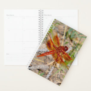 Sm Planner Orange Dragonfly