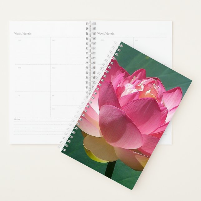 Sm Planner Pink Lotus (Display)