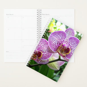 Sm Planner Purple Striped Orchids