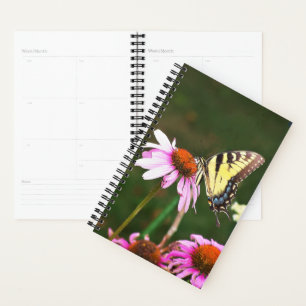 Sm Planner Tiger Swallowtail on Coneflower
