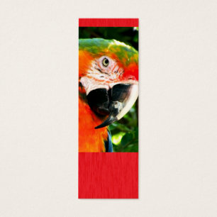 Sm. Scarlet Macaw Red Bookmark