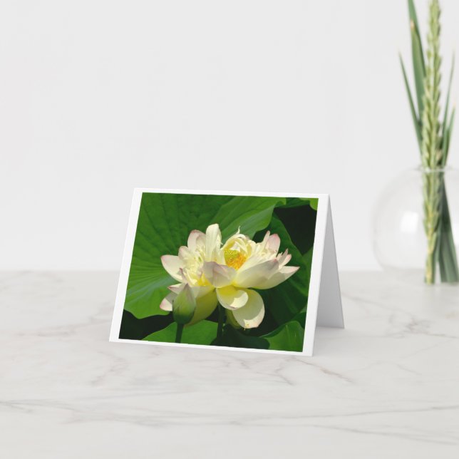 Small, 4" x 5.6" Folded Greeting Card (Front)
