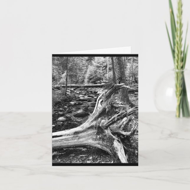 Small, 4" x 5.6" Folded Greeting Card (Front)