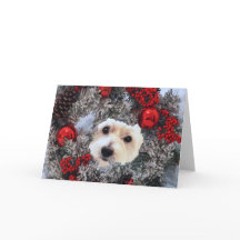 Small, 4" x 5.6" Folded Greeting Card