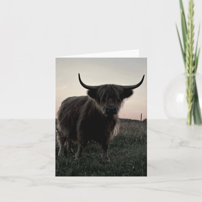 Small, 4" x 5.6" Folded Highland Cow Blank Card (Front)