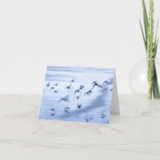 Small, 4" x 5.6" Folded Holiday Card