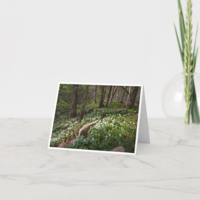 Small, 4" x 5.6" Folded Note Card (Front)