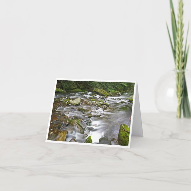 Small, 4" x 5.6" Folded Note Card (Front)
