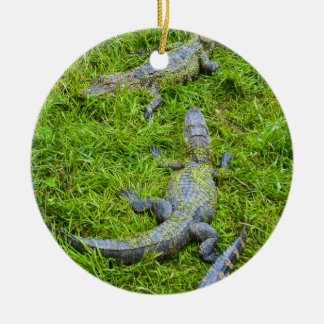 Small Alligators Basking Ceramic Tree Decoration