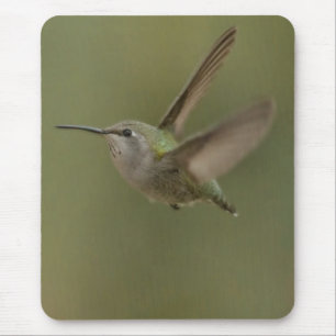 Small and mighty hummingbird mouse mat