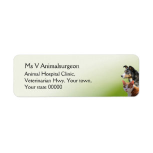 Small animal vet