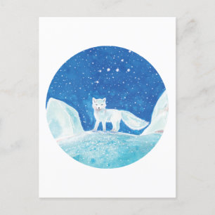 Small Arctic Fox (Vulpes lagopus) Illustration   Postcard