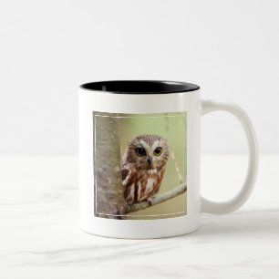 Small Baby Owl Ontarios Two-Tone Coffee Mug