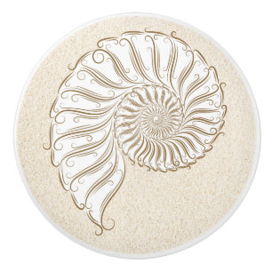Small Beach Shell Drawer Knobs
