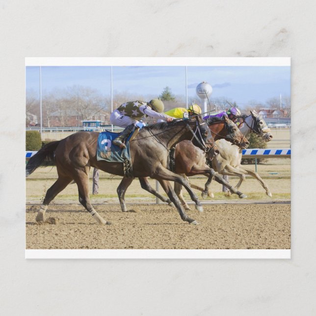 Small Bear Postcard (Front)