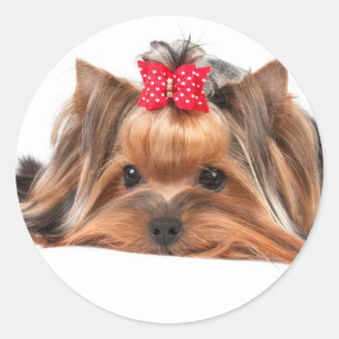 Small beauty classic round sticker