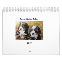 Small Berner Nation Babes 2017 Calender