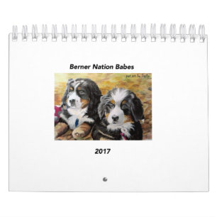 Small Berner Nation Babes 2017 Calender Calendar