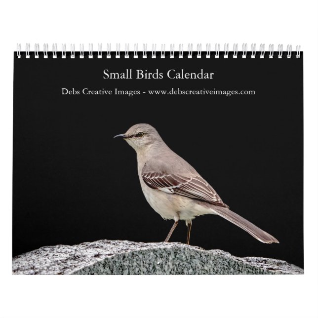 Small bird (songbird) 2026 calendar (Cover)