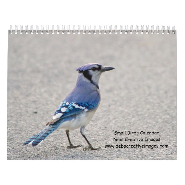 Small Birds 2026 Calendar (Cover)