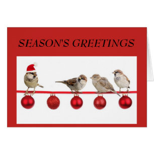 Small Birds on Red Christmas Greeting Card