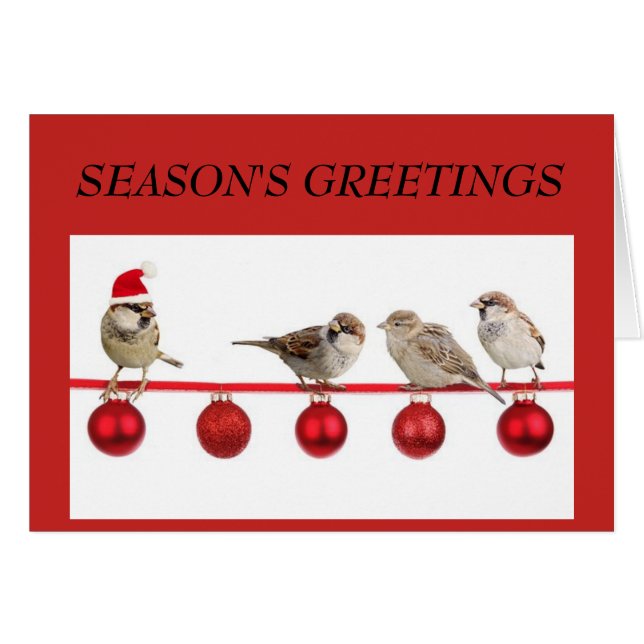 Small Birds on Red Christmas Greeting Card (Front Horizontal)
