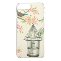 Small Birds Perched on a Branch and on a Birdcage