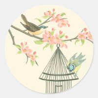 Small Birds Perched on a Branch and on a Birdcage