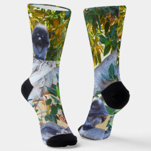 Small Black Langur Monkeys Eating, Crew Socks