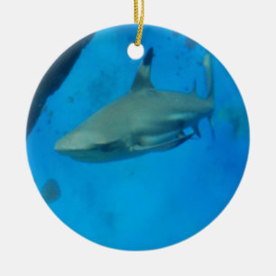 Small Black Tipped Shark Ceramic Tree Decoration