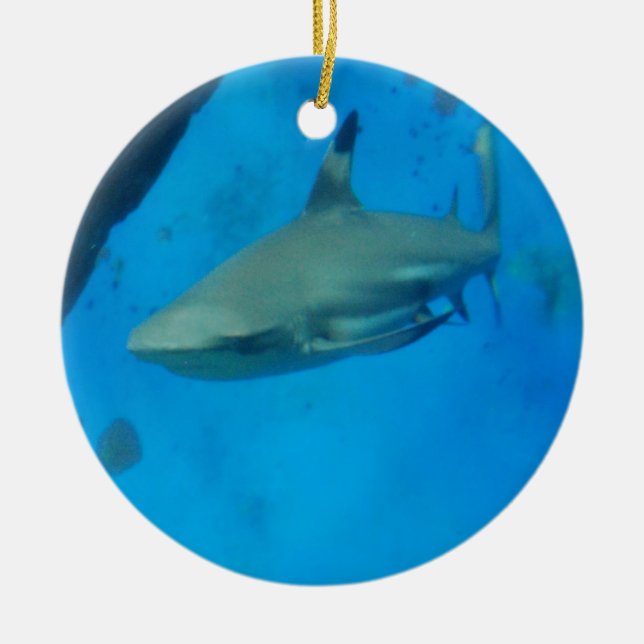 Small Black Tipped Shark Ceramic Tree Decoration (Front)