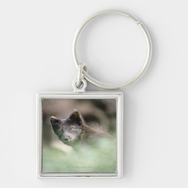 Small Black Wolf Key Ring (Front)