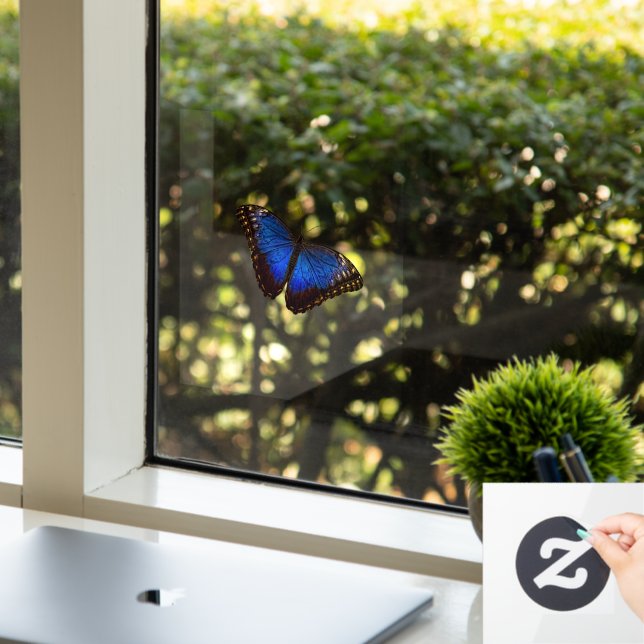 Small Blue Morpho Butterfly  Window Cling (Office)